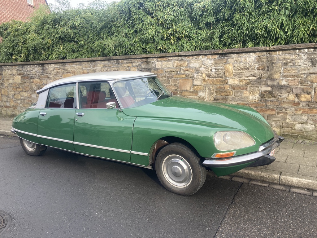 DS 23 inj. Pallas